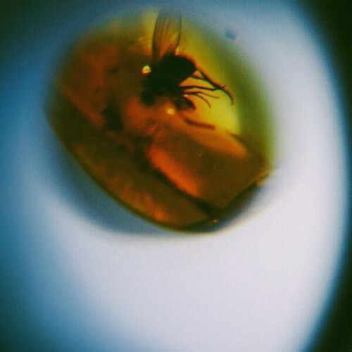  April + VISTA - Traditional Noise (2026) 