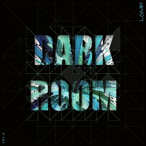 Dark Room, Vol. 8 (2025)