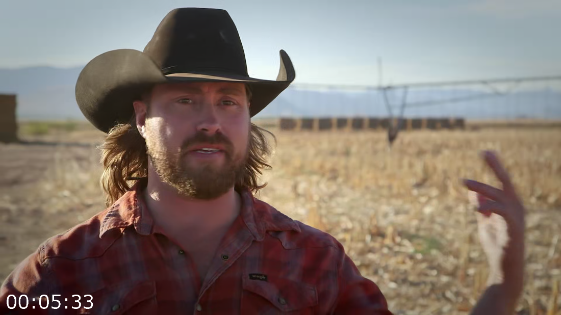 [Image: ME1923VI_o.png]