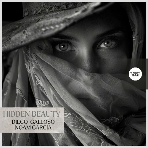 VA - Diego Galloso & Noam Garcia - Hidden Beauty (2024) (MP3) METJLYP_o