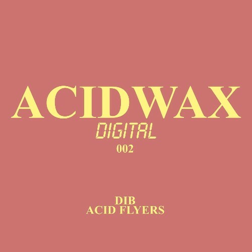 DIB - Acid Flyers (2025) DIB - Acid Flyers (2025)