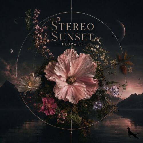 Stereo Sunset — Flora (2026)