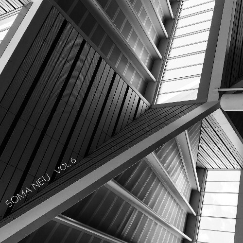  SOMA NEU Vol. 6 (2026) 