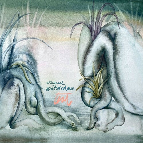  teal - Original Watercolour (2025) 