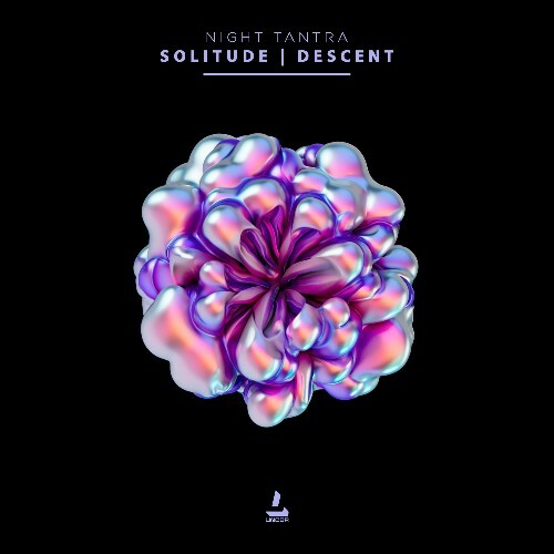  Night Tantra - Descent and Solitude (2026) 