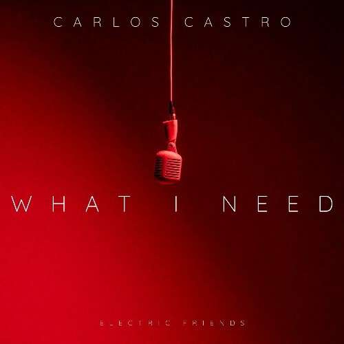  Carlos Castro - What I Need (2026) 