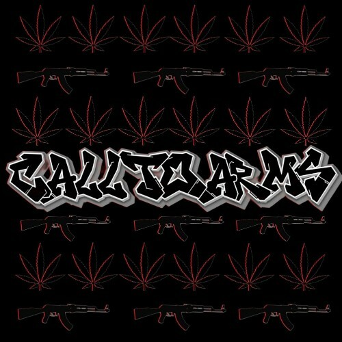  Call To Arms - Demo 2025 (2025) 