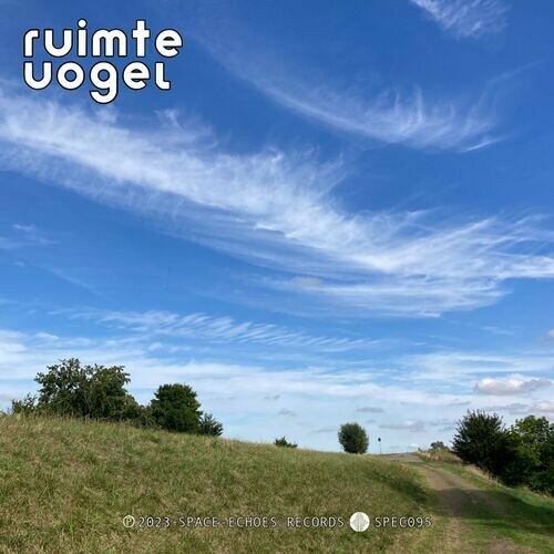  Ruimte Vogel - Seeing All The Signs And Numbers (2023) 