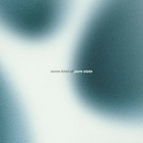  The Dharma Chain - Some Kind Of Pure State (2026) 