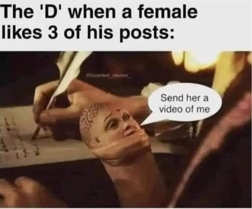 MEQAOOD_o.jpg