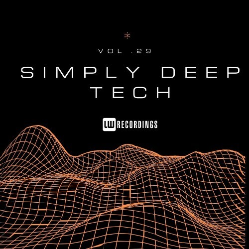  Simply Deep Tech, Vol. 29 (2025) 