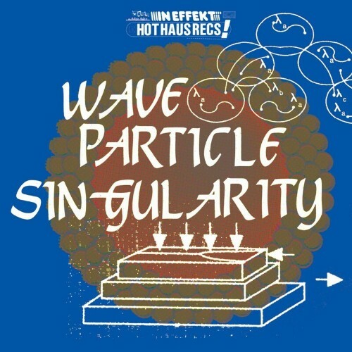  Wave Particle Singularity - Jungian Therapy (2023) 