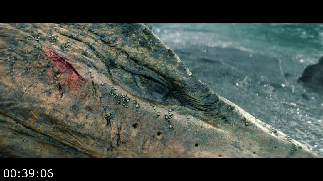 [Kép: ME1E493O_o.png]