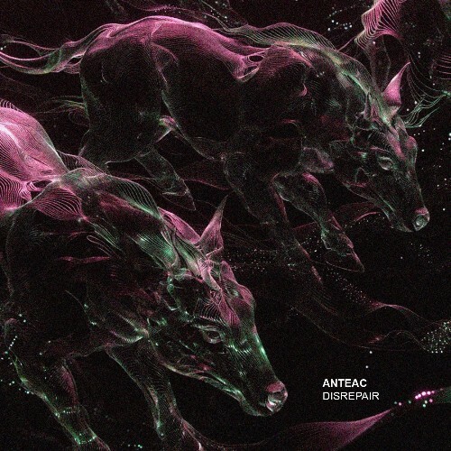  Anteac - Disrepair (2026) 