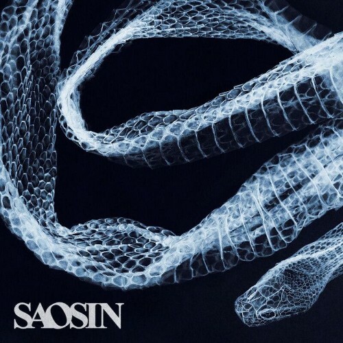  Saosin - Starting Over Again (2026) 