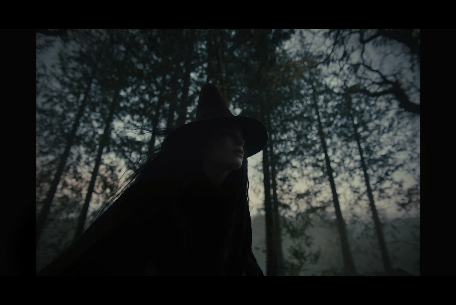 screenshot233.jpg