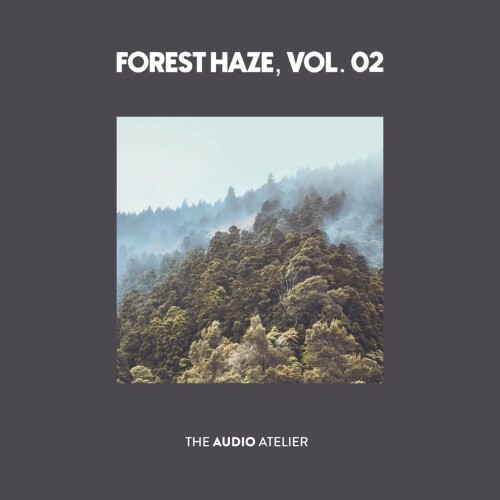  Forest Haze, Vol. 2 (2026) 