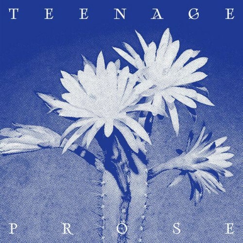  Ghosts & Errors - Teenage Prose (2026) 
