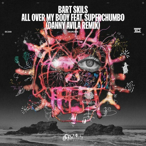  Bart Skils Ft. Superchumbo - All Over My Body (Danny Avila Remix) (2026) 
