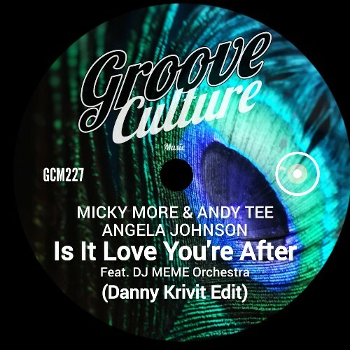  Micky More and Andy Tee ft Angela Johnson - Is It Love Youre After (Danny Krivit Edit) (2024) 