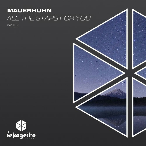  Mauerhuhn - All The Stars For You (2024) MP3 METG4FZ_o