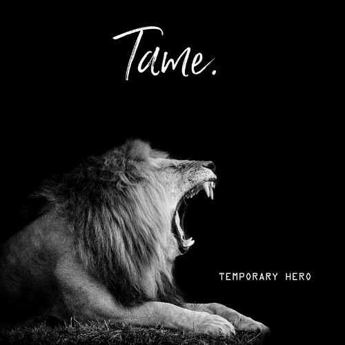  Temporary Hero - Tame (Remixes) (2024) 