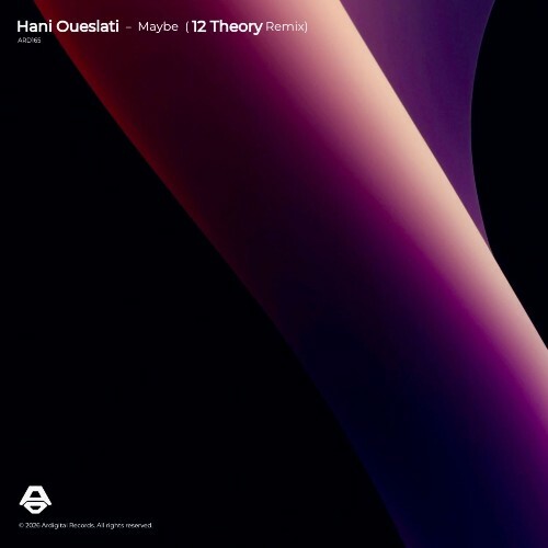 Hani Oueslati — Maybe (12 Theory Remix) (2026)