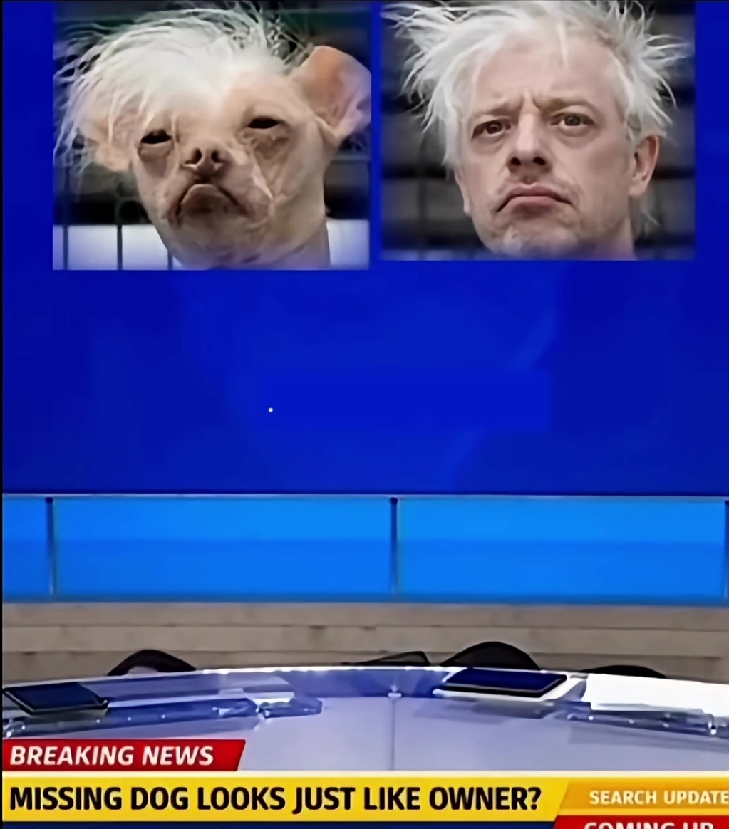 ME1BSYWX_o.jpg