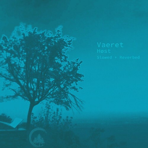  Vaeret - Host (Slowed + Reverbed) (2024)  METDHP6_o