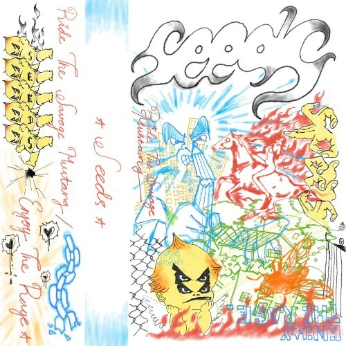  Seeds - Ride The Savage Mustang / Enjoy The Rage (2025) 