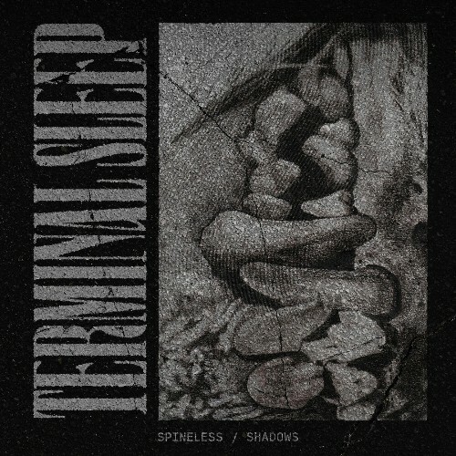 VA - Terminal Sleep, Sow Discord - Spineless / Shadows (2024) (MP3)