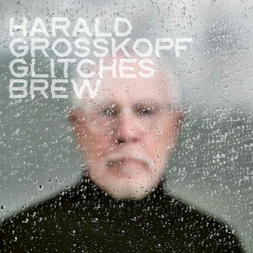 Harald Grosskopf — Glitches Brew (2026)