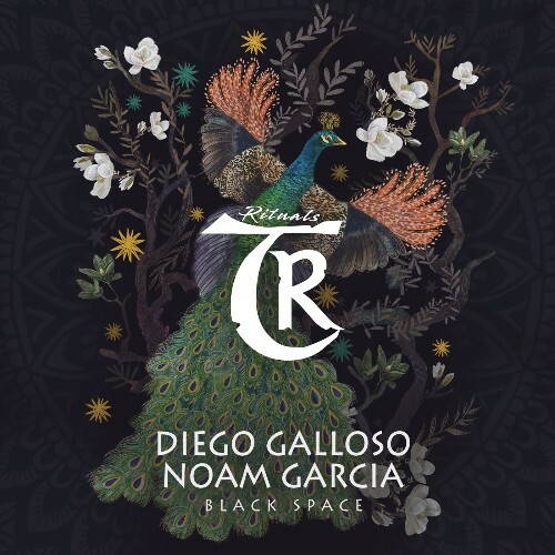  Diego Galloso, Noam Garcia - Black Space (2026) 
