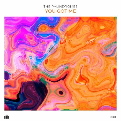  The Palindromes - You Got Me (2025) 