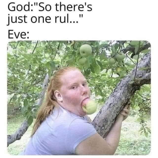 MEOV54K_o.jpg