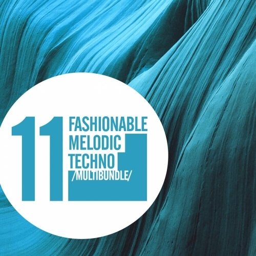 11 Fashionable Melodic Techno Multibundle (2025)