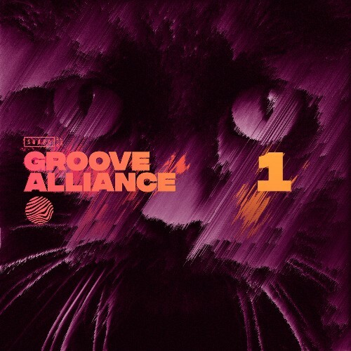  Groove Alliance 1 (2025) 