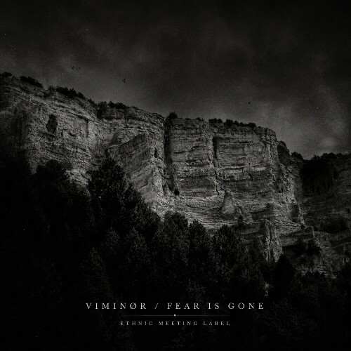  VIMINØR - Fear Is Gone (2026) 