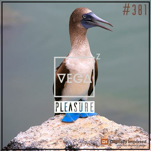  Vega Z - Pleasure 381 (2024-05-29) 
