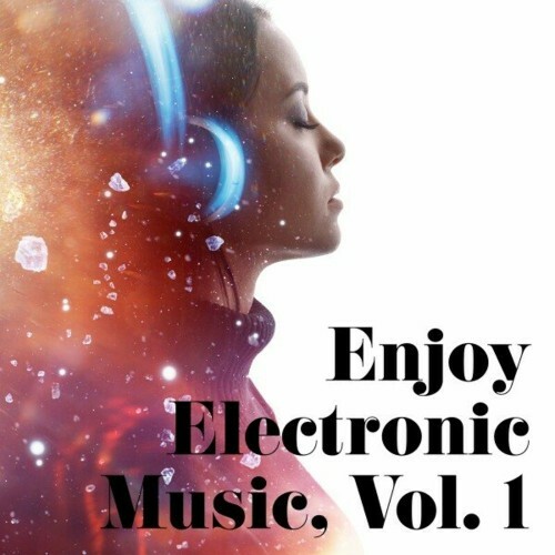  Enjoy Electronic Music, Vol. 1 (2024) 
