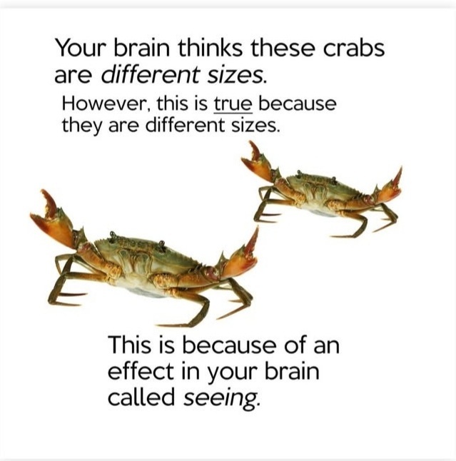 ME12LDBC_o.jpg