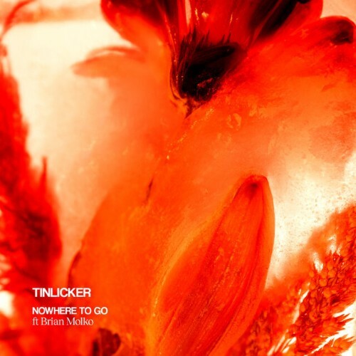  Tinlicker ft Brian Molko - Nowhere To Go (feat. Brian Molko) (Single Edit) (2024) 