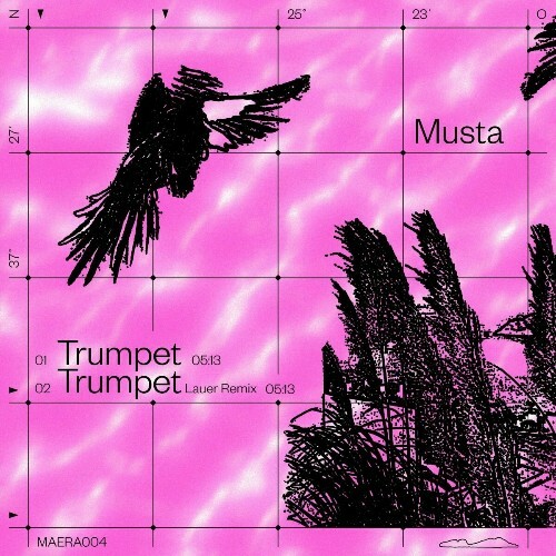 VA -  Musta - Trumpet (2024) [MP3] MEWD73Z_o