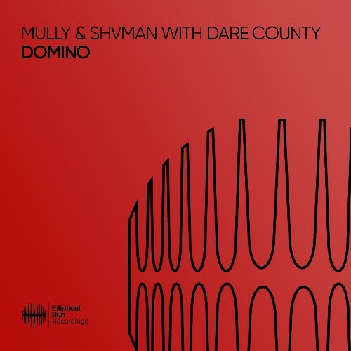  Mully & Shvman & Dare County - Domino (2025) 