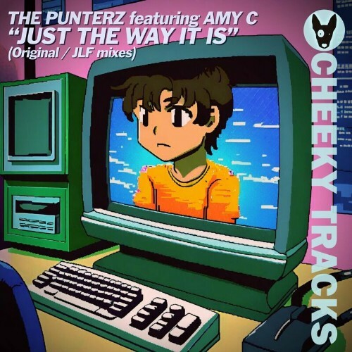  The Punterz feat Amy C - Just The Way It Is (2024) 