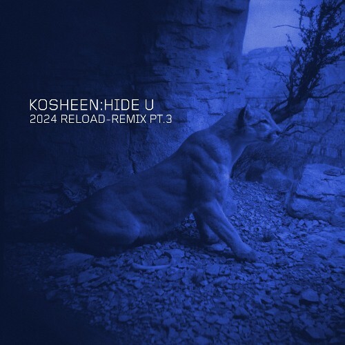 VA -  Kosheen - Hide U (2024 Reload-Remix, Pt. 3) (2024) [MP3] MEV7507_o