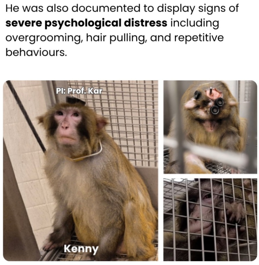 ME1CVXCJ_o.jpg