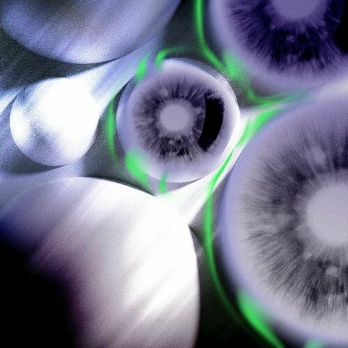  Ekata - Split (2025) 