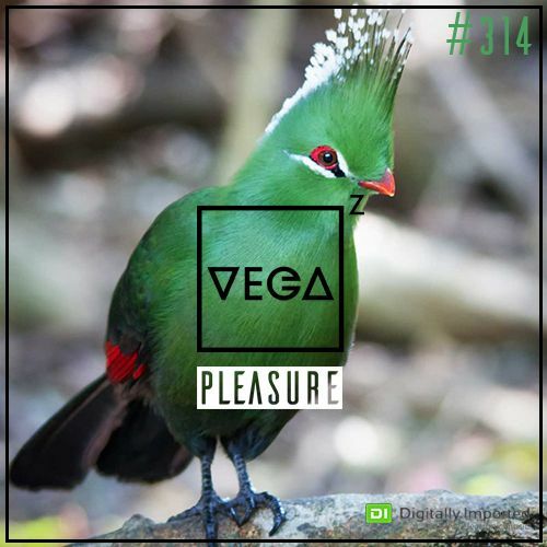  Vega Z - Pleasure 314 (2023-02-15) 