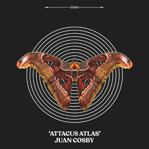 Juan Cosby — Attacus Atlas (2026)